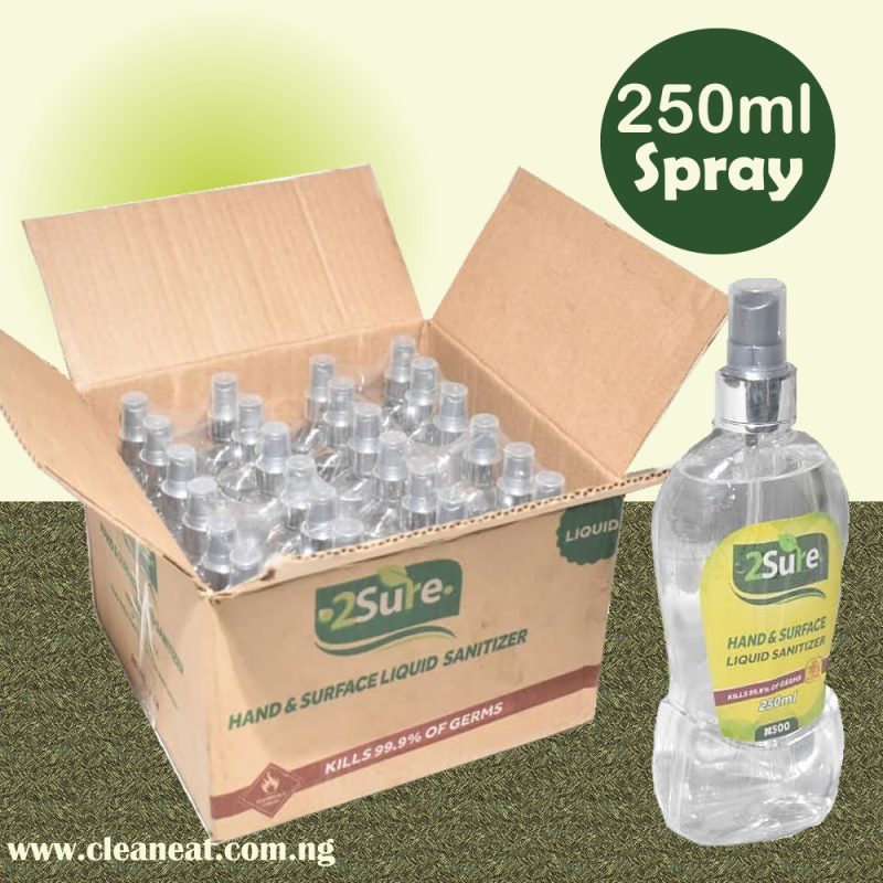 A Carton of 250ml 2Sure Hand Sanitizer Liquid(24pieces)