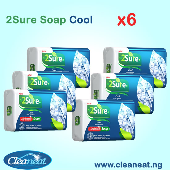 2Sure Medicated and Anti-bacterial Soap 70g x 6pcs - cool