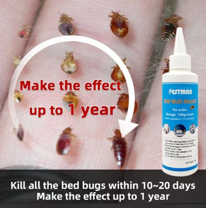 Pestman Bedbug Powder Killer 60g | 100g