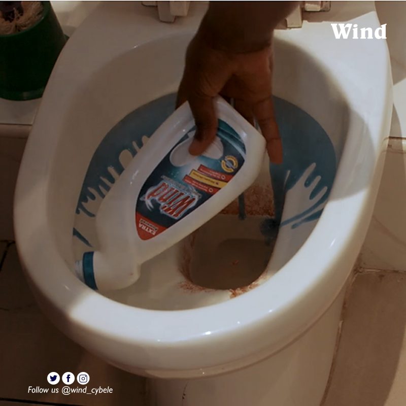 Wind Liquid Toilet Bowl Cleaner 500ml