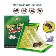 mouse-glue-traps