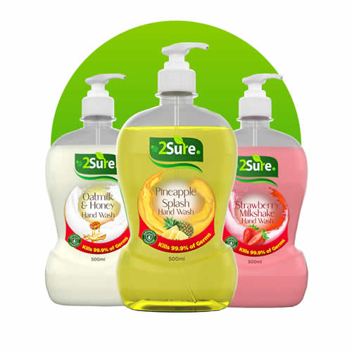 2sure handwash wholesale price 500ml