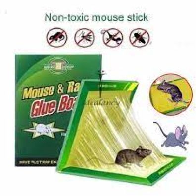 Reusable Expert Catch Mouse Glue Traps - Mouse Catcher Insect